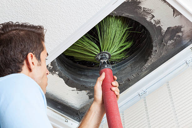 Best Residential Air Duct Cleaning  in Cold Springs, NV