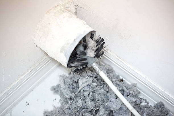 Best Affordable Duct Cleaning Services  in Cold Springs, NV